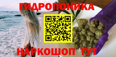 не бодяженный Камышлов