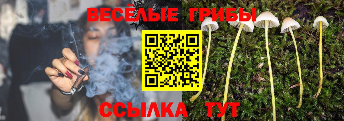 Железноводск  Псилоцибиновые грибы GOLDEN TEACHER  Вход с VPN  Псилоцибиновые грибы Magic Shrooms 